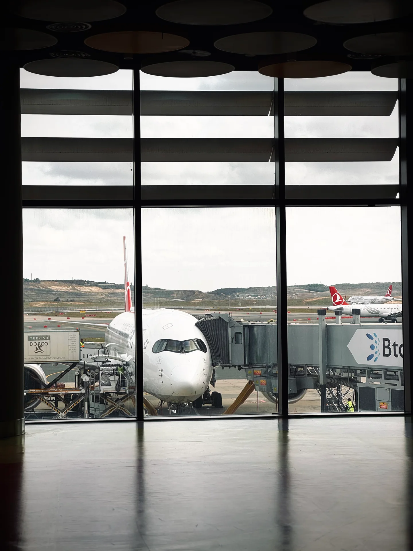 Framed by the terminal