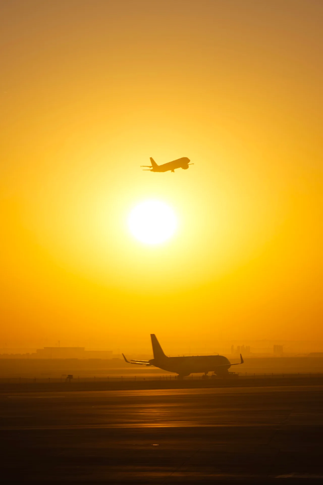 Sunrise silhouettes
